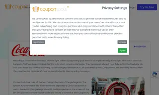 Preview of the Coca Cola Case Study