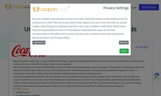 Preview of the Coca Cola Case Study