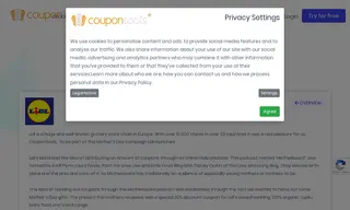 Preview of the Lidl Case Study