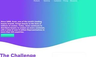 Preview of the Avon Case Study