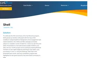 Preview of the Shell Case Study