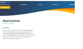 Preview of the Shoe Carnival Case Study