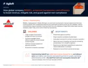 Preview of the BISSELL Case Study