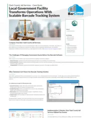 Preview of the Clark County Jail Services Case Study