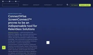 Preview of the Relentless Solutions Case Study