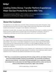 Preview of the Leading Online Money Transfer Services Company Case Study