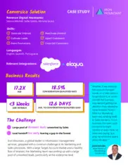 Preview of the Iron Mountain Case Study