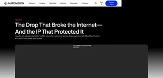 Preview of the MSCHF Case Study