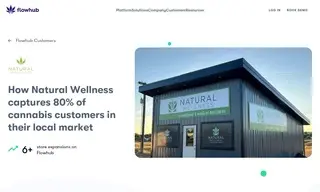 Preview of the Natural Wellness Case Study