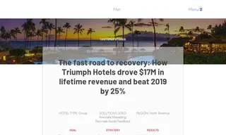 Preview of the Triumph Hotels Case Study