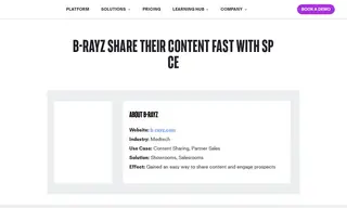 Preview of the b-rayZ Case Study