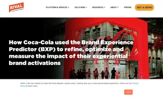 Preview of the Coca Cola Case Study