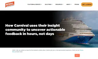 Preview of the Carnival Corporation Case Study