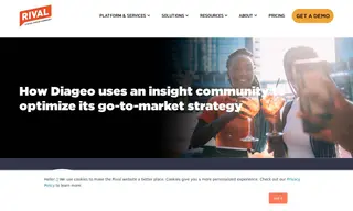 Preview of the Diageo Case Study