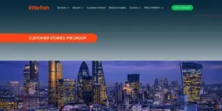 Preview of the PIB Group Case Study
