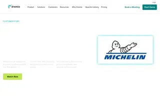 Preview of the Michelin Case Study