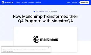 Preview of the Mailchimp Case Study
