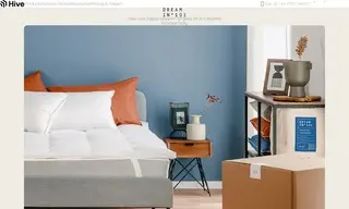 Preview of the Dreamin*101 Case Study