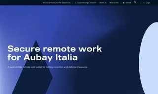 Preview of the AUBAY Case Study