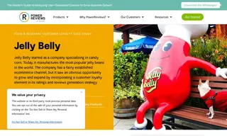 Preview of the Jelly Belly Case Study