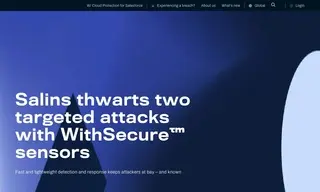 Preview of the Salins Group Case Study