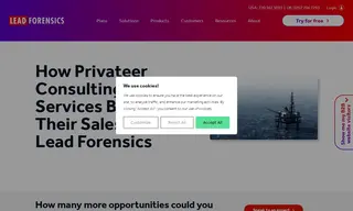 Preview of the Privateer Consulting Services Case Study