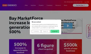Preview of the Bay MarketForce Case Study