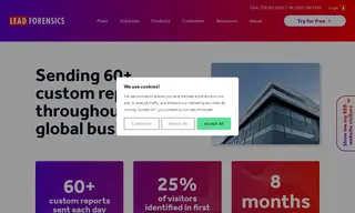 Preview of the Fluid Branding Case Study
