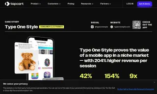 Preview of the Type One Style Case Study