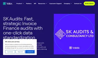 Preview of the SK Audits Case Study