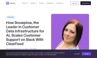 Preview of the Snowplow Case Study