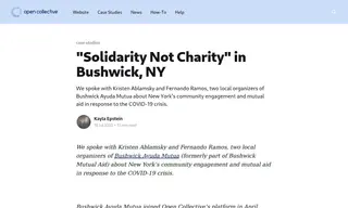 Preview of the Bushwick Ayuda Mutua Case Study
