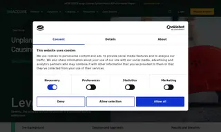 Preview of the European Battery Energy System Operator Company Case Study