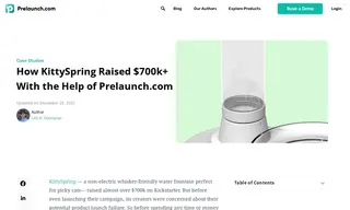 Preview of the KittySpring Case Study