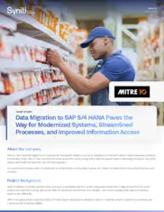 Preview of the Mitre 10 Case Study