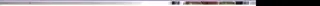 Preview of the CHANNOINE Case Study