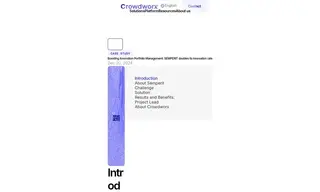 Preview of the Semperit Case Study