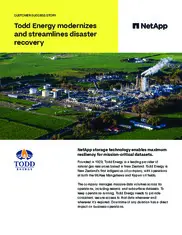 Preview of the Todd Energy Case Study