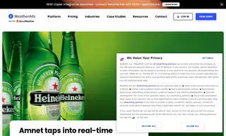 Preview of the Amnet Case Study