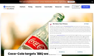 Preview of the Coca Cola Case Study