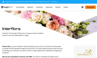 Preview of the Interflora Case Study