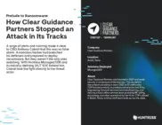 Preview of the Clear Guidance Partners Case Study