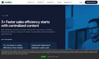 Preview of the Envision Consulting Case Study