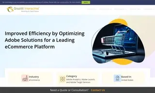 Preview of the Leading eCommerce Retailer Company Case Study