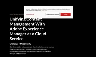 Preview of the Travel and Mobility Solutions Company Case Study