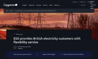 Preview of the The Electricity System Operator Case Study