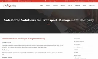 Preview of the Large Transport Management Company Case Study