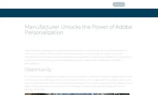 Preview of the Large Healthcare Organization Case Study