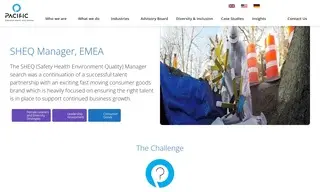 Preview of the Fast Moving Consumer Goods Brand Case Study