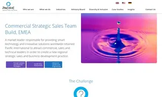 Preview of the Smart Technology and Innovative Solutions Company Case Study